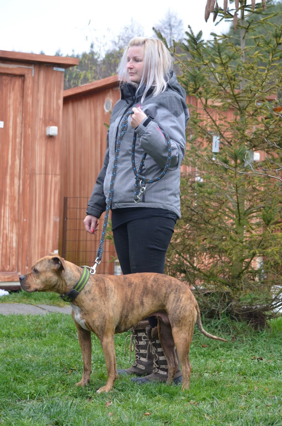 Tato úžasná fenka, kříženka pitbula a staforda nemůže najít nový domov. Přitom je bezproblémová, milá i na děti, nesmí se ale dostat do kontaktu s jinými fenami