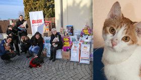 Velká charitativní akce Blesku a vydavatelství CZECH NEWS CENTER: 619 kg dobrot pro opuštěné hafany a kočky