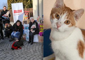 Blesk a Czech News Center pomohli zvířecímu útulku ve Skřivanech.