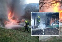 Ničivý požár v kočičím útulku ve Zlíně: Škoda přesáhla milion! Majitelka prosí o pomoc