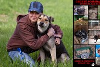 Psi v části útulků trpí, varuje fotografka Mirka. Někde už pomohla ke změně