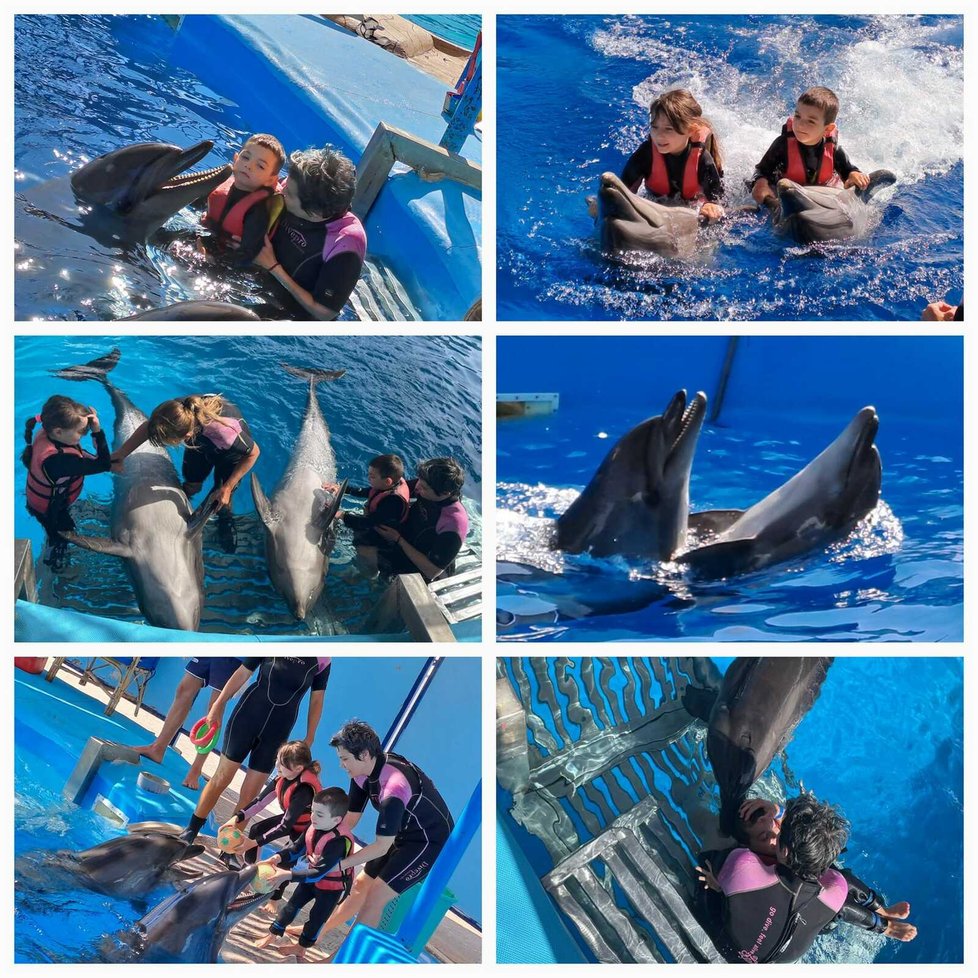 Terapie s delfíny