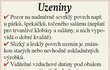 Uzeniny