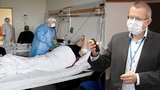 Česko se blíží metě pro další rozvolnění. Dosáhne ji po Dni vítězství, míní experti
