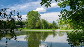 Krajinný park V Ladech