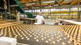 V Opavě začala výstavba továrny na sušenky za více než dvě miliardy. Na snímku je stávající výroba americké firmy Mondelez