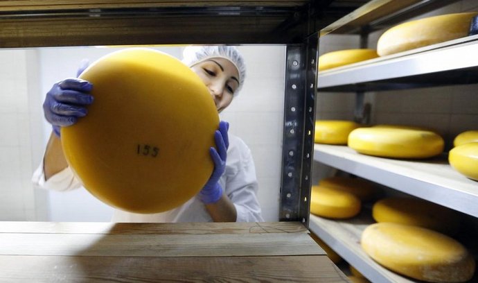 V Rusku zažívá výroba sýra nebývalý boom. Sýr produkují jak velké podniky, tak malé domácnosti.