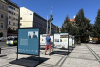 Co jste o Havlových možná nevěděli: Výstava ukazuje historii rodiny bývalého prezidenta