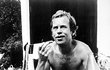 1975 - Polonahý Havel: pohoda na chalupě.