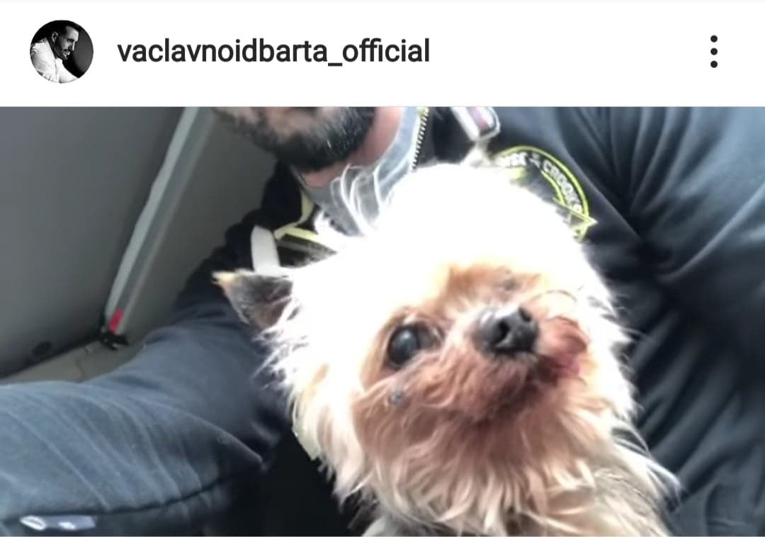 Václav Noid Bárta zachránil ztraceného psa.
