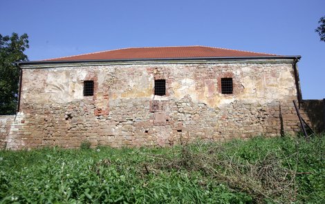 Tvrz rodu Pětipeských v Neprobylicích pochází zřejmě již ze 14. století, první písemně doložené zmínky se datují do roku 1552.