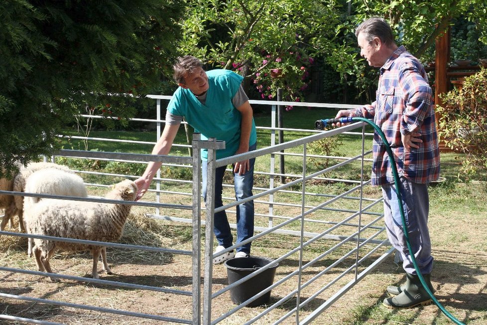 Václav Postránecký oslavil 75. narozeniny na place při natáčení seriálu Krejzovi.