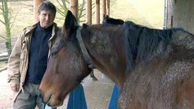 Opět promluvil o zvířatech, která miluje! A k tomu herec Václav Vydra (59) přiznal, že ho koně někdy pořádně dokážou pozlobit.