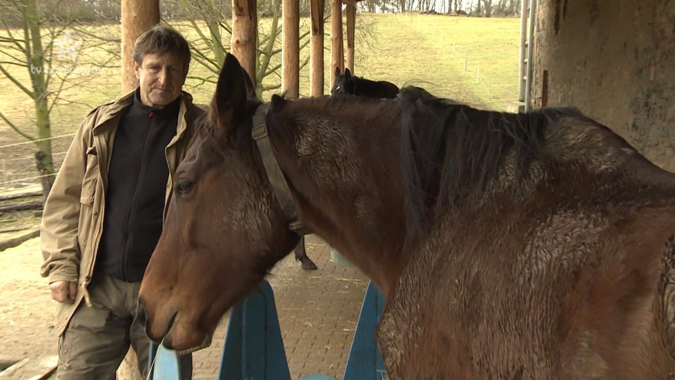 Koně Vydra miloval od mládí, ale po seznámení s Janou Bouškovou (60) se jich zřekl, věnoval se jí, divadlu a natáčení a na koně neměl čas.