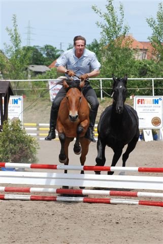 Své koně Vydra miluje natolik, že kvůli jejich blahu založil kliniku.
