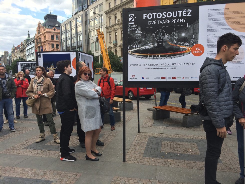 Pořadatelem výstavy je Sdružení Nového Města pražského.