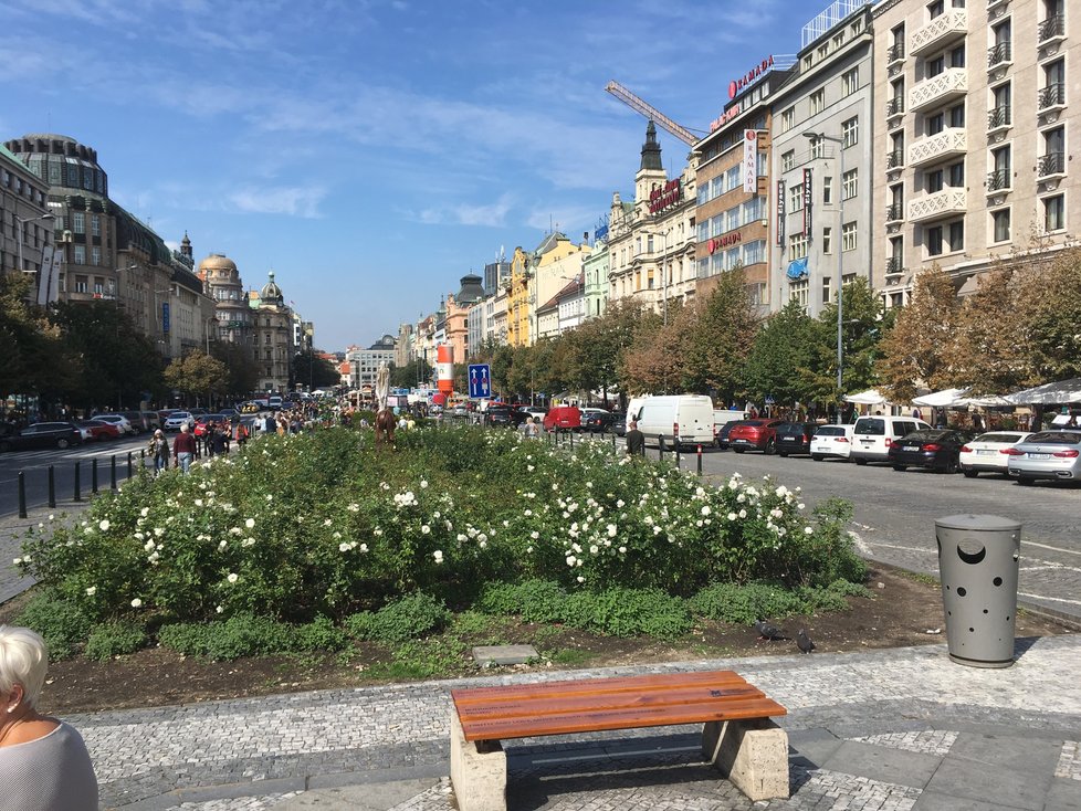 Václavské náměstí se postupně proměňuje, péče o něj je systematičtější.