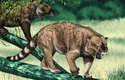 Vačnatý lev vyhynul před 46 tisíci lety