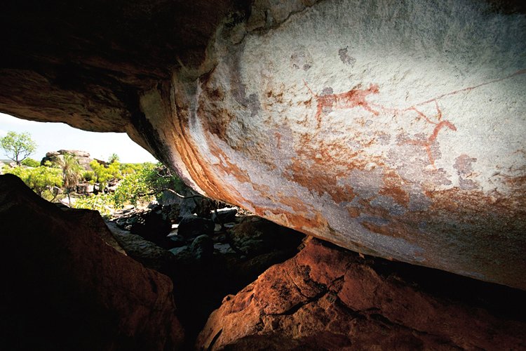 S vačnatým lvem se setkali první obyvatelé Austrálie, kteří jej zachytili na jeskynních malbách