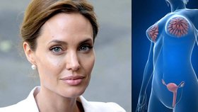 Angelina se snaží minimalizovat rizika.