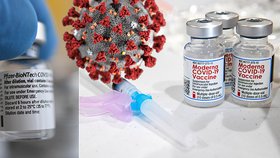 Budou vakcíny účinné i na nové kmeny? Blesk Zprávy pro Vás odpovědi zjišťují i předních expertů