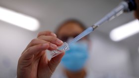 Vývoj vakcíny proti covidu ve formě spreje ve Francii (15.9.2021)