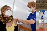Česko podalo doposud rekordní počet dávek vakcíny proti koronaviru, reprodukční číslo se dále drží pod hodnotou jedna
