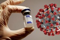 Vakcína Sputnik: Česko může získat 20 tisíc dávek už v březnu. Podání bude dobrovolné