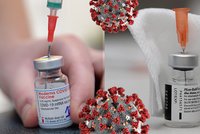 Koronavirus ONLINE: 2252 případů za úterý v ČR. V nemocnicích je 763 lidí
