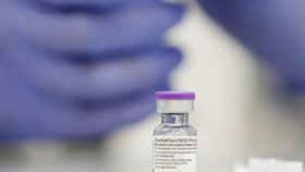 Vakcína proti covidu-19 od společností Pfizer a BioNTech (21. 12. 2020)