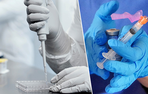 Vakcíny proti rakovině, borelióze či RSV viru? Expert řekl, zda se jich dočkáme i v Česku