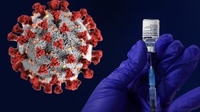 Vakcíny vs. zmutovaný virus. Vědci neskrývají nadšení, účinnost je vysoká