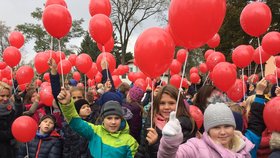 V Kyjově na Hodonínsku dnes přibližně 1900 lidí vytvořilo za pomoci balónků obří květ vlčího máku. Uctili tím Den válečných veteránů.