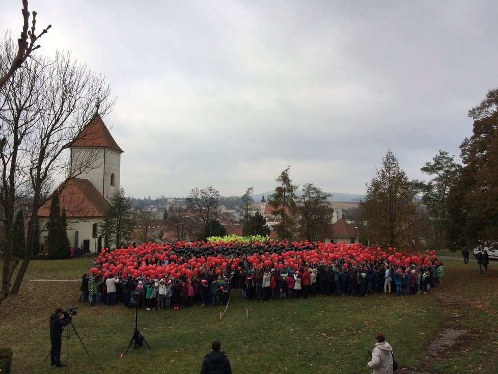 V Kyjově na Hodonínsku dnes přibližně 1900 lidí vytvořilo za pomoci balónků obří květ vlčího máku. Uctili tím Den válečných veteránů.