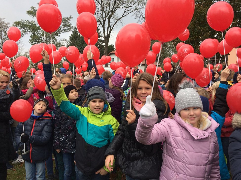 V Kyjově na Hodonínsku dnes přibližně 1900 lidí vytvořilo za pomoci balonků obří květ vlčího máku. Uctili tím den válečných veteránů.
