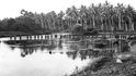 Sedmého srpna 1942 se Američané vylodili na ostrově Guadalcanal.
