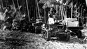Sedmého srpna 1942 se Američané vylodili na ostrově Guadalcanal.