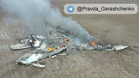 V Charkovské oblasti byl po sestřelen ruský letounu Su-35.