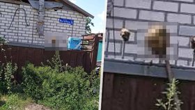 Rusové ve městě Popasna v Luhanské oblasti údajně popravili jednoho z ukrajinských zajatců, následně jeho hlavu jako výstrahu narazili na kůl. (6.8.2022)
