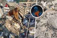 Téměř hluchý a slepý pejsek dojal Ukrajinu: Krym hledal rodinu v troskách, všechny zabila ruská raketa