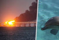 Rusové si neuhlídali Kerčský most: Nepomohli ani cvičení delfíni