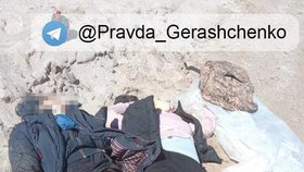 „14 civilistů, včetně tří dětí, se pokusilo dostat přes řeku Dněpr lodí. Ruští okupanti je ale zasypali palbou a zemřeli tři dospělí a jedno dítě,“ uvedla na Twitteru náměstkyně ukrajinského ministra zahraničních věcí Emine Džaparová