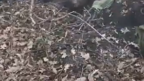 Rusové zajatce rozstříleli.