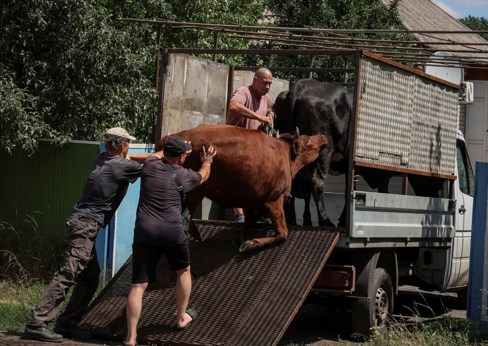 Válka na Ukrajině: Evakuace na Donbasu (12. 7. 2022)