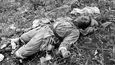 Ojedinělé fotografie připomínají 65. výročí kruté korejské války 