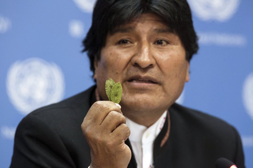 Valné shromáždění OSN v New Yorku o drogách: Bolivijský prezident Evo Morales drží lístek koky.