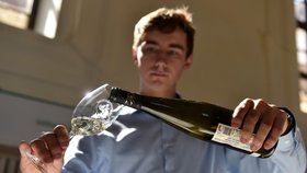 Do Valtic se sjeli vinaři: Začala tu nejstarší přehlídka vín na světě