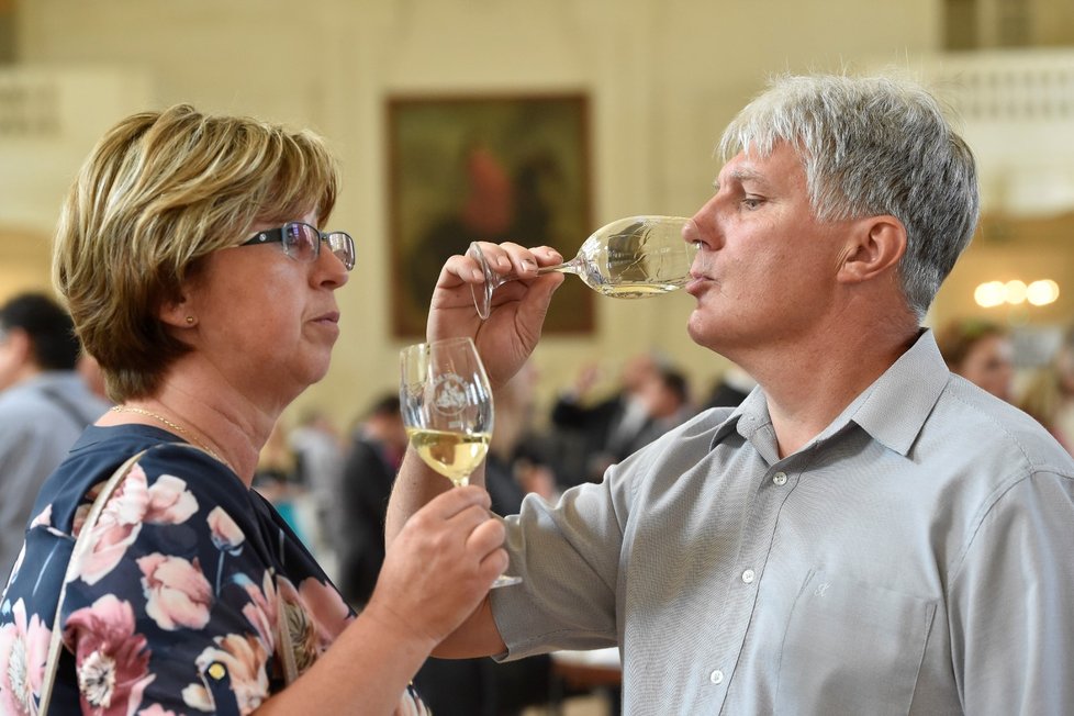 V zámecké konírně a jízdárně ve Valticích na Břeclavsku byl zahájen 51. ročník Valtických vinných trhů, nejprestižnější tuzemské soutěže vinařů.