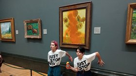 Aktivisté hodili na slavný obraz Slunečnice od Vincenta van Gogha rajčatovou polévku (14.10.2022)