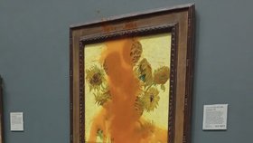 Aktivisté hodili na slavný obraz Slunečnice od Vincenta van Gogha rajčatovou polévku (14.10.2022)